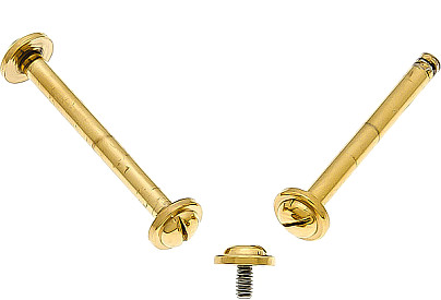  Poljot Basilica  Stege with screws for bracelet gold 